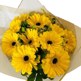 Ramo 10 Gerberas